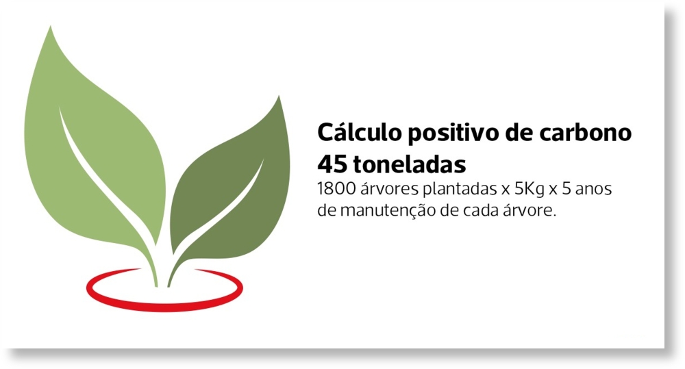 Calculo-carbono-bctt-2024.jpg